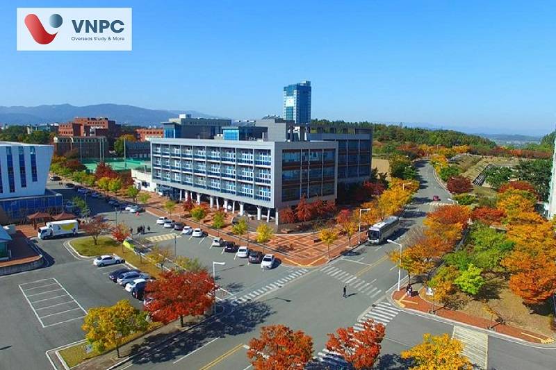 Daegu University 
